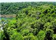 Sendero Macuco - Puerto Iguazu - Argentina