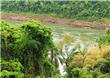 Sendero Macuco - Puerto Iguazu - Argentina