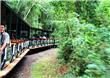 Tren ecologico de la selva - Puerto Iguazu - Argentina