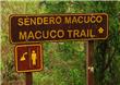 Sendero Macuco - Puerto Iguazu - Argentina