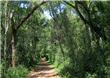 Sendero Macuco - Puerto Iguazu - Argentina