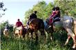 Adventure in horses - Puerto Iguazu - Argentina