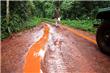 Safari en la selva - Puerto Iguazu - Argentina