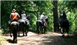 Adventure in horses - Puerto Iguazu - Argentina